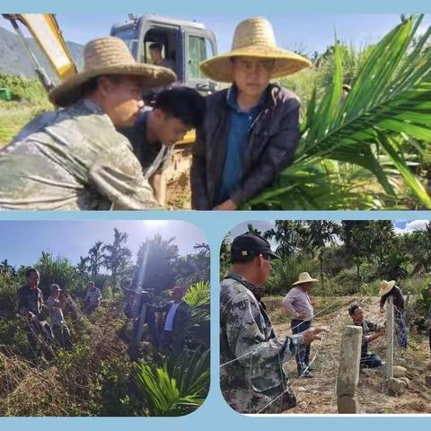 尖峰村工作亮点报告