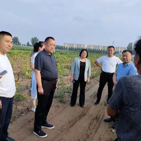 毛新军带队到浚县王庄镇开展结对帮扶助力农业产业发展