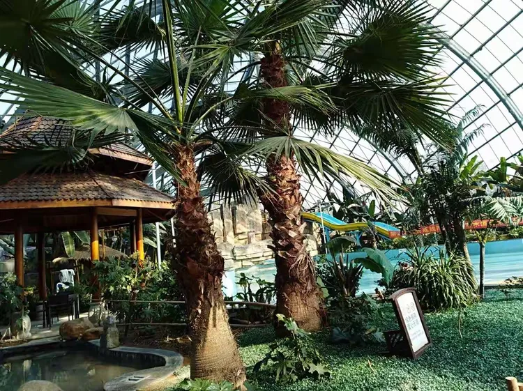 2017.12.19.湖北洪湖悦兮半岛泡温泉!