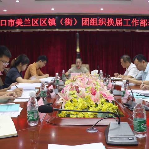 青春正当时，奋进自贸港——美兰区镇街团组织换届工作圆满完成！