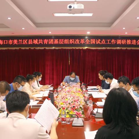 海口市委常委、秘书长伍振湘率队到美兰区调研推进县域共青团基层组织改革全国试点工作