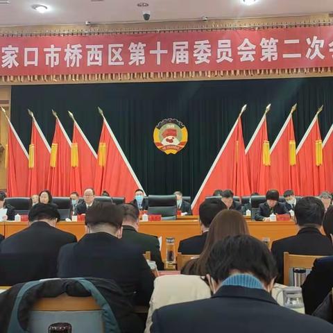 政协新华街活动小组参加区政协十届第二次会议