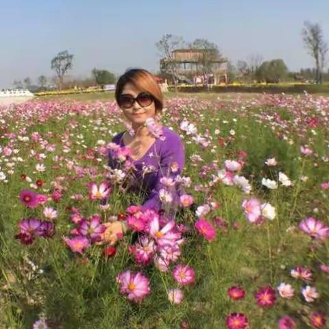 芜湖六郎镇花海世界同学一日游