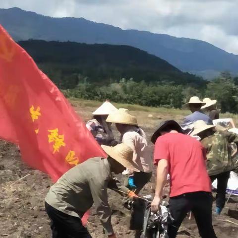 南圣村党支部开展扶贫日活动