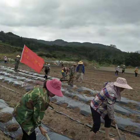 南圣村党支部开展勇当先锋做好表率专题党日活动