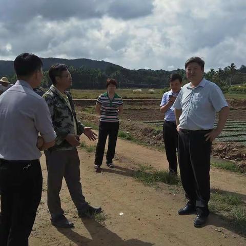 市委书记宋少华到南圣村委会集体合作社调研