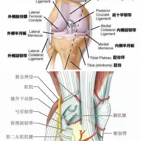 王黎的美篇