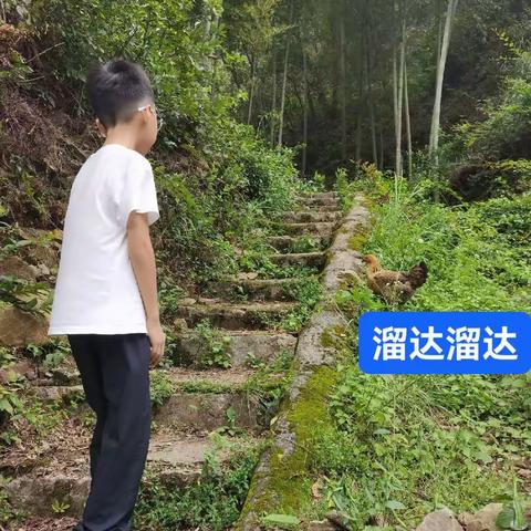 一次有趣的生活体验