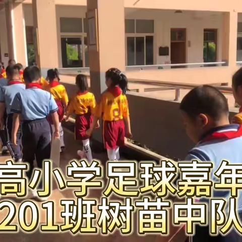 妙高小学足球嘉年华201班树苗中队