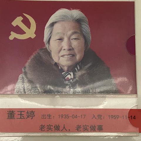 党员奶奶