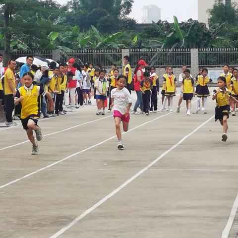 运动点燃童心 激情铸就梦想——记白石小学举行首届校运会