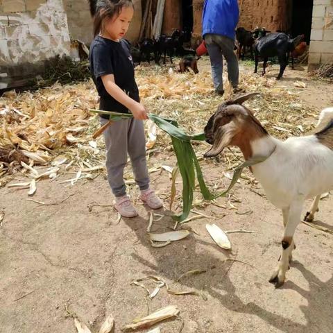 我的通海半日游