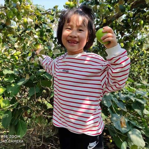 牵着蜗牛去散步 的美篇