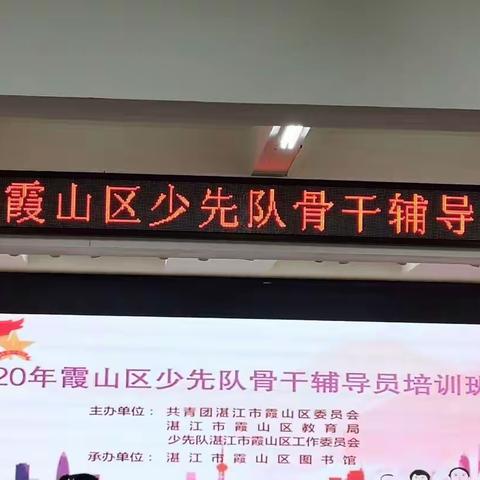 2020年霞山区少先队骨干辅导员培训工作手记