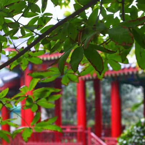 特色鲜明促成长  把握机遇谋发展