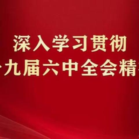 【党建+德育】学习贯彻党的十九届六中全会精神