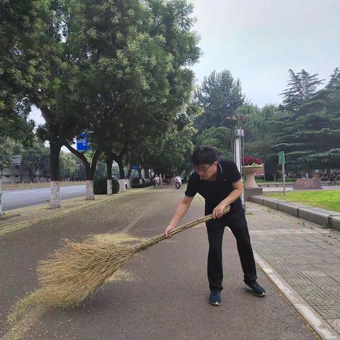 我们都是城市“美容师”