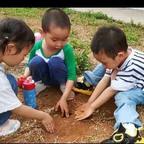 别有“洞”天，趣探趣玩—琼台师院附属桂林洋幼儿园小三班班本课程活动