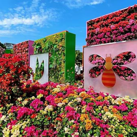 深圳真的没有冬天嘛？———三年级12月社会实践活动