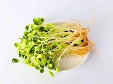 【美好“食”光，用心陪伴】——西安莲湖华美童年幼儿园3月9日美食分享