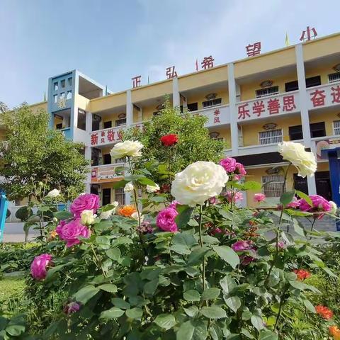 众志成城抗疫情，居家学习课不停 ——留山镇中心小学“停课不停学”活动侧记