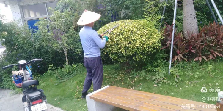 景观绿化养护费用报价清单