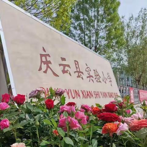 聚焦核心素养 培养命题能力——记实验小学英语命题能力比赛