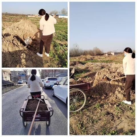 "播撒种子 享受欢乐"武家庄幼儿园劳动种植活动