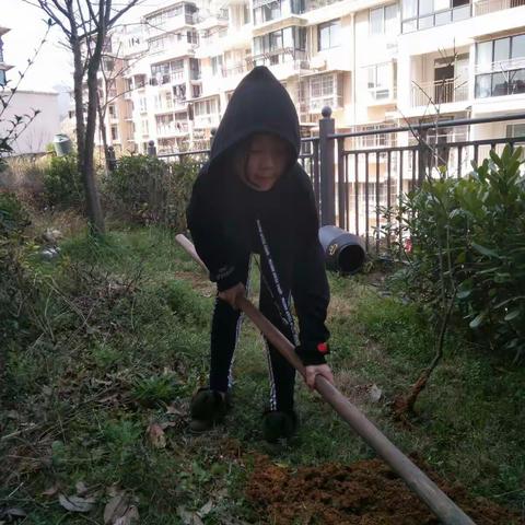 种下一株桃树，种下一颗希望！