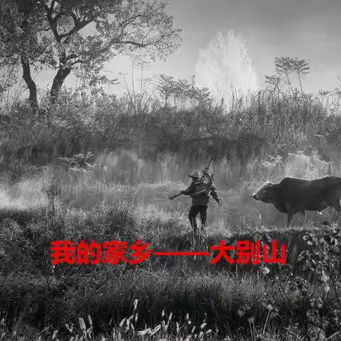 怀念父亲（十五）回乡