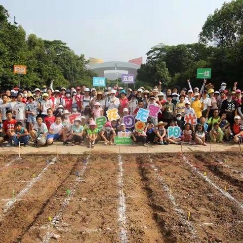 市民花田播种“无限阳光”，献礼深圳特区成立40周年