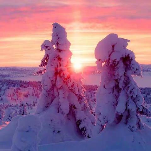 有关冬日雪景优秀片段集结