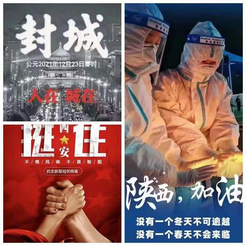 同心协力，共克时艰！——二曲中学七年级二班“停课不停学”疫情居家生活记录