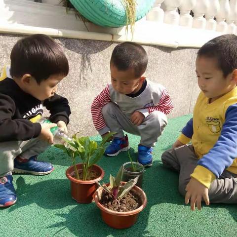 小五班第三周日常活动花絮