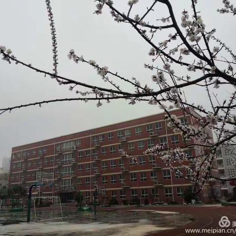 【龙湖镇荆垌完全小学】第七周五年级音乐学科线上学习成果总结