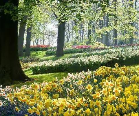 【龙湖镇荆垌完全小学】五年级音乐学科阶段性总结