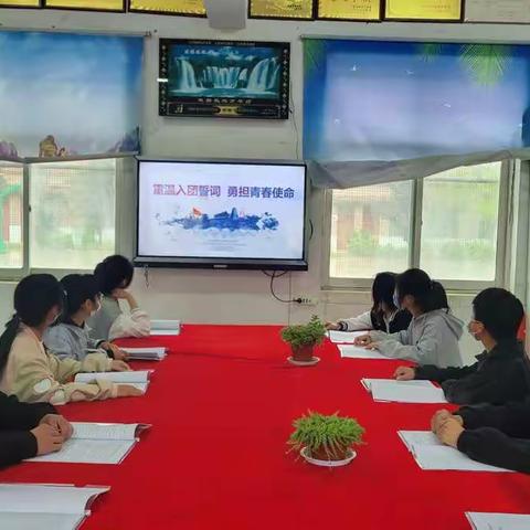 “重温入团誓词  勇担青春使命”主题团日