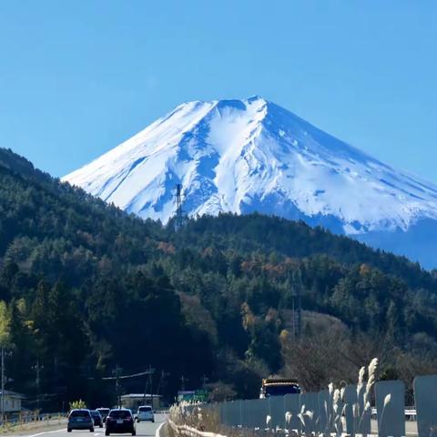 富士山，让我再走近点