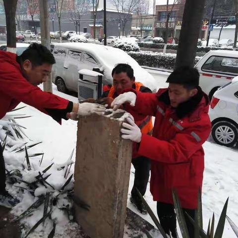 风雪中的市政人