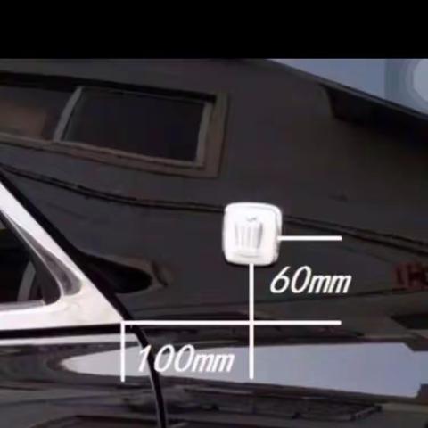 【蔡集初中】乐学健体阳光跑操