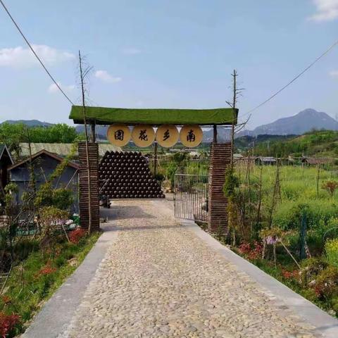 做创意馒头，享幸福味道