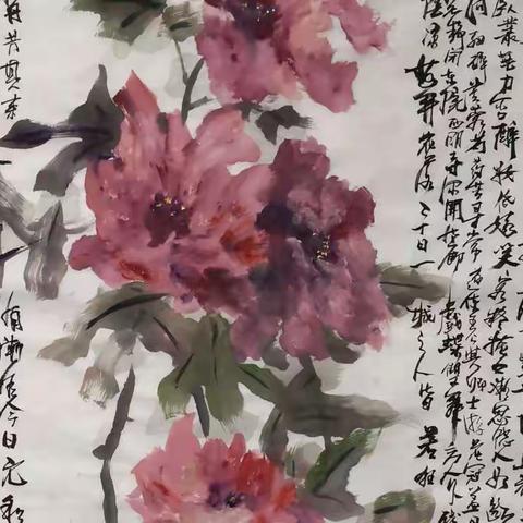 一德画说（2）    牡丹芳——贺新岁