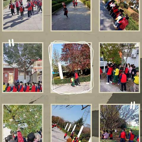 城关园太阳花七班【班级新闻】一个柿子引发的“事件”