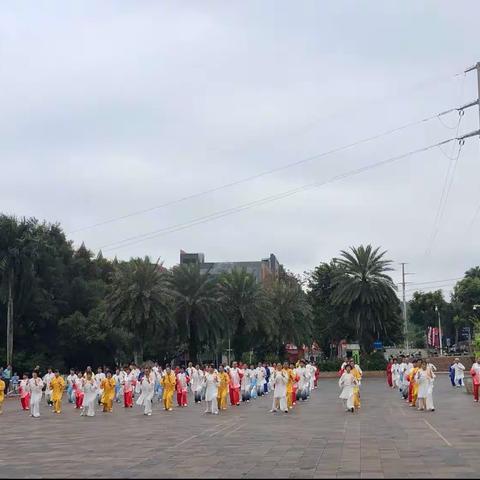 观摩致公党澄迈县支部委员会举办太极拳太极剑表演赛拾影