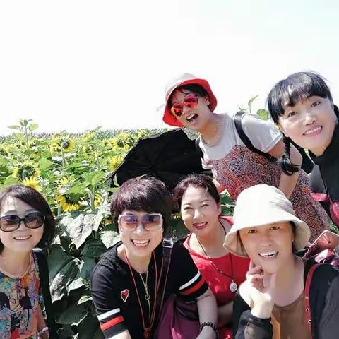 18.6.29我们参加老边区东岗子村葵花园的开幕式，并游览了葵花海。