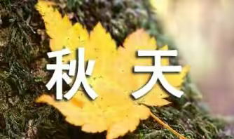 美丽的秋天