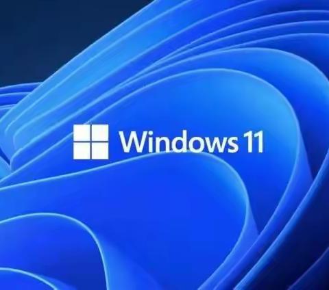 Win11 business editions 和 consumer editions 有什么区别？