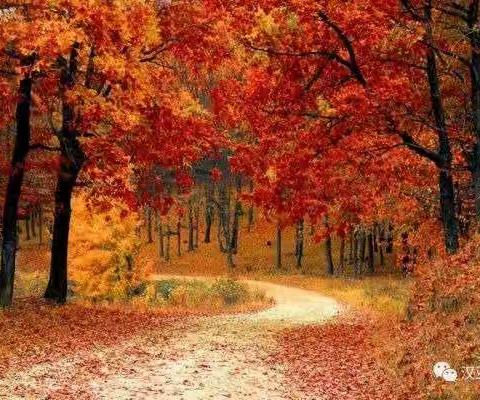 蓝思阳光宝贝幼儿园“中二班”十月精彩回顾