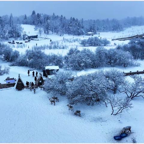 林海雪原