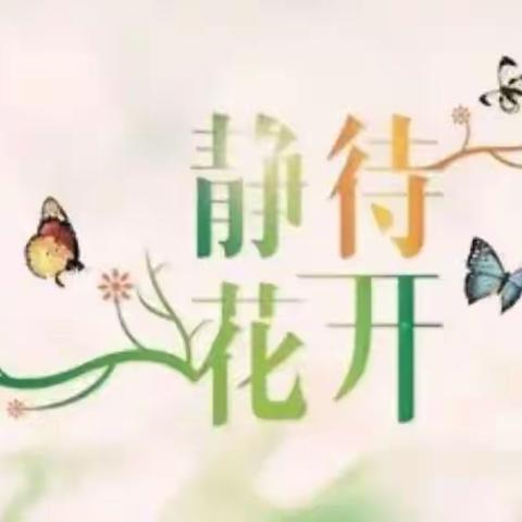 静待花开，多彩生活